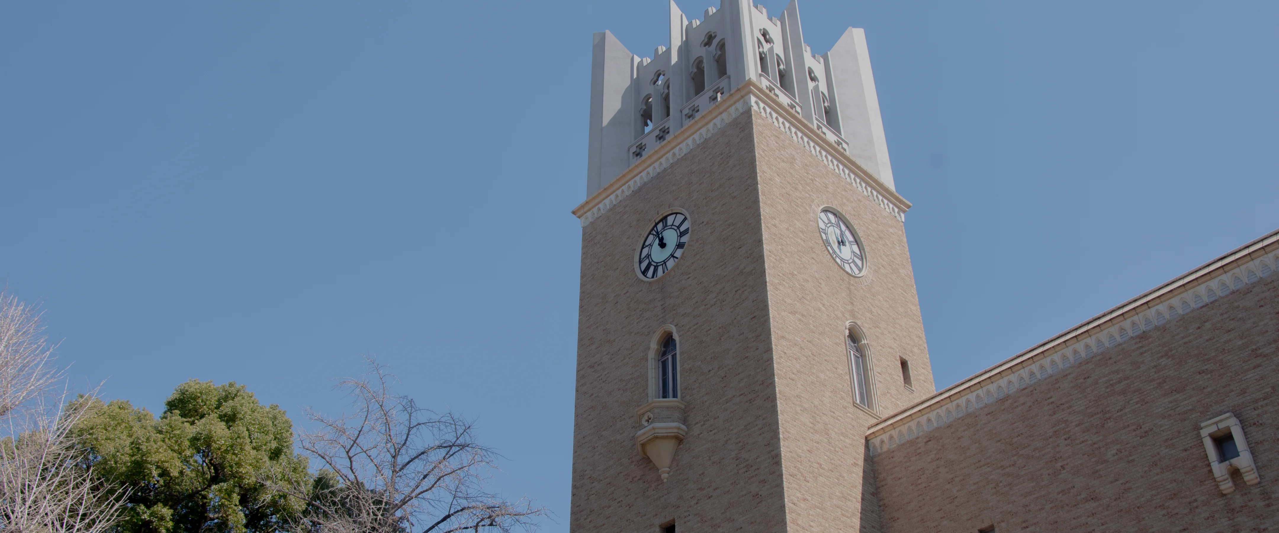 新歓・入会画像